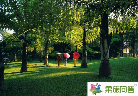 昆明國(guó)旅告訴您去西雙版納怎么最便宜