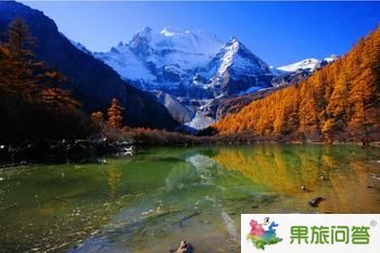 全景游—昆明、大理、麗江、香格里拉八日游HJX