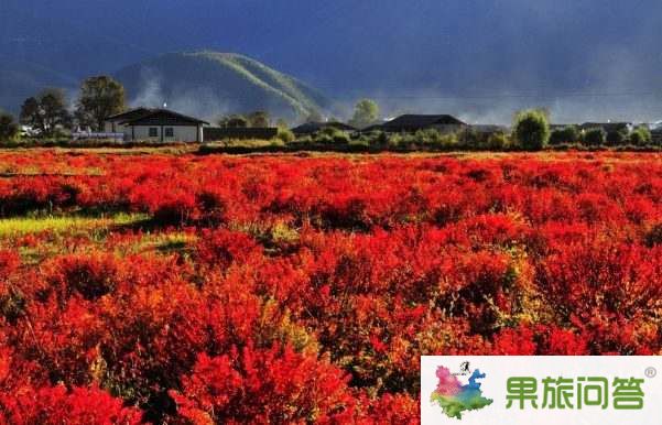 超值休閑游—麗江、香格里拉、大理六日游 HX